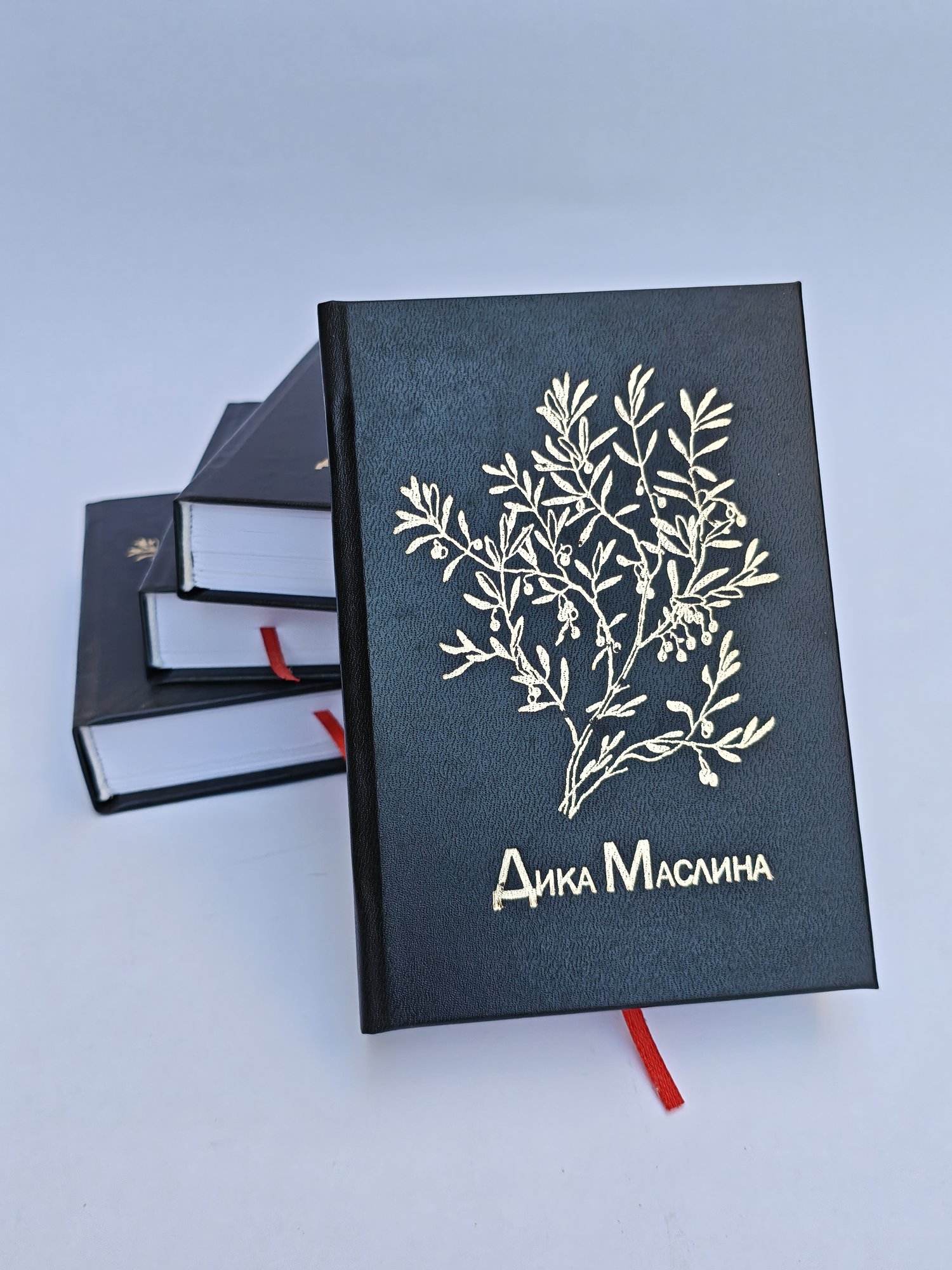 «Дика Маслина»